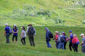 A group takes a guided tour from a park ranger in Denali National Park and Preserve.