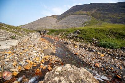 Where Fire Creek's two most southern forks meet.