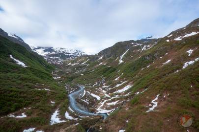 Gold Creek above the falls.