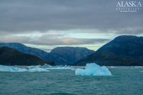 Growler Bay on Glacier Island.