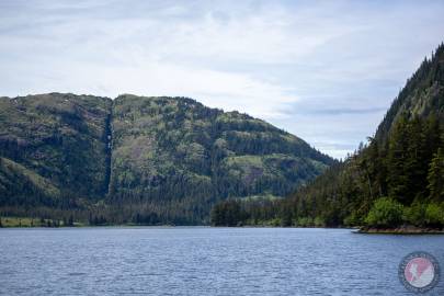 Near the southern end of Growler Bay. June 2023.