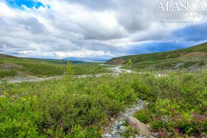 Looking back down the Gulkana Glacier Trail as it crosses College Creek.