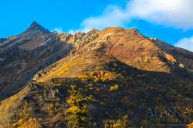 Looking up at Gunsight Mountain from Glenn Highway.