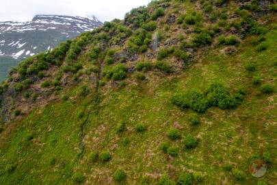 The top of the steep section to Highschool Hill.