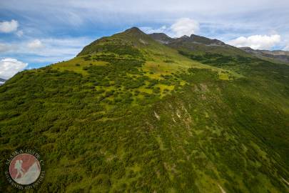 High School Hill trail to the summit as it rises above the alpine. Sometimes this part of the trail is a bushwhack guess...