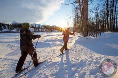 Homestead Trail cross country ski trail.