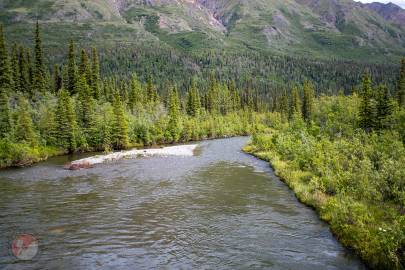 Jack Creek after it runs under the Nabesna Road and out along Boyden Hills.