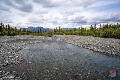 A pool along Lost Creek and the Mentasta Mountains in the background.