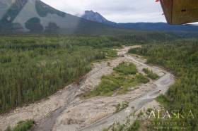 Looking up McCarthy Creek behind town.