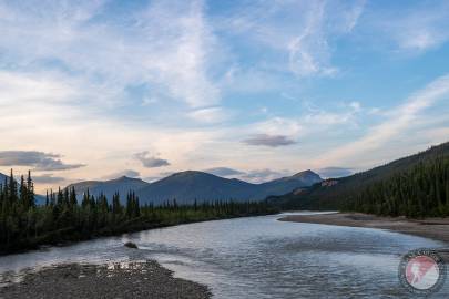 Looking north up the Middle Fork Koyukuk River near Wiseman. August 2023.