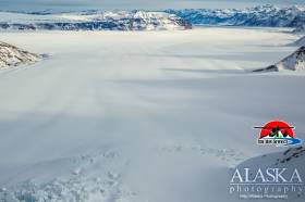 Looking out at Nabesna Glacier where it turns north from the base of Mountain Blackburn.