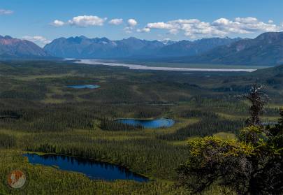 The Nabesna River as it flows out past the Nutzotin Mountains.