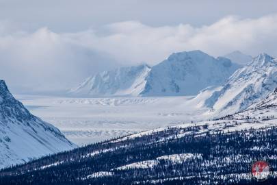 Looking up Nelchina Glacier from Eureka.