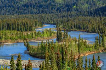 The Nenana River as it flows along the Denali Highway.