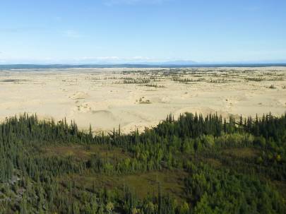 Nogahabara Sand Dunes. Photo by Keith Ramos (USFWS) Image is Public Domain useage.