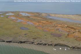 Photograph of Pingok Island, Alaska, reveals physical features of a changing Arctic: collapsing bluffs, salt-killed tundra (lighter brown near the bluff edge), and drained thermokarst lakes (rust-colored depressions). Ann Gibbs and Bruce Richmond, USGS Pacific Coastal and Marine Science Center. Public domain