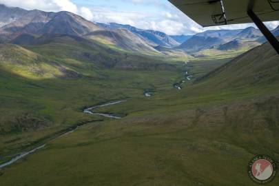 Looking south up Pogopuk Creek from about 12mi downstream from its origin. August 2023.