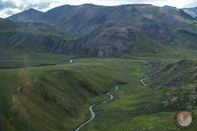 Pogopuk Creek about 12mi down from where it begins. August 2023.