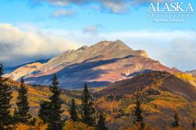 The west face of Sheep Mountain as seen from Glenn Highway about a mile west of Hundred Mile Lake.