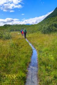 Hiking along Shoup Bay Trail around the perimeter of the flats.