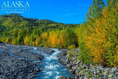 Looking up Stuart Creek not far from where it enters the Tsina River.