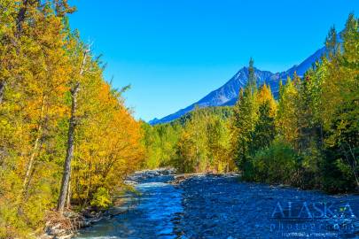 Stuart Creek as it runs east about to enter the Tsina River.