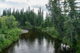 Looking at the Tolovan River where it crosses under the Steese Highway.