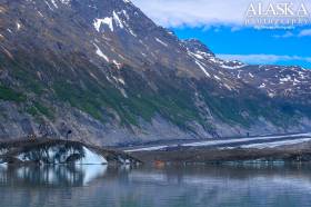 Looking at the terminus of Valdez Glacier from the lake.