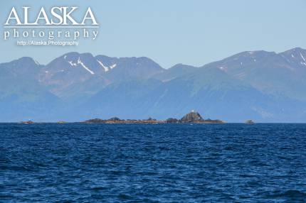 Seal Rocks in the Northern part of the Gulf of Alaska.