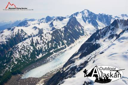 Looking down at Bertha Glacier in the Takhinsha Mountains. The tree line above the glacier marks where Bertha used to lie over the last century. 