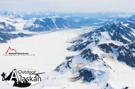 Looking south down Carroll Glacier.