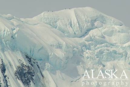 Four climbers cross Crosson Ridge on their way to summit Mount Foraker.