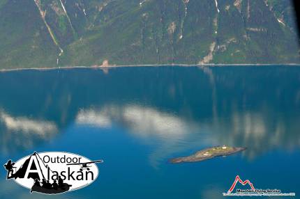 Looking east at Eldred Rock and Lynn Canal.