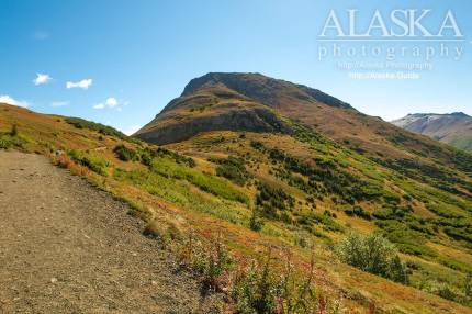 After passing through the trees there's a small knoll that the trail wraps around before starting up Flattop.