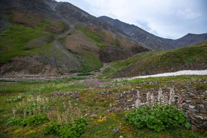 The end of the canyon. If I was just camping near by it would have been fun to investigate in there.