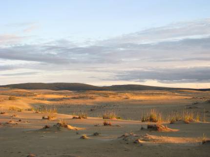 Evening light on the Great Kobuk Sand Dunes with the Waring Mountains in the distance. The setting sun makes creates striking light and shadows on the landscape. Sand dunes and low mountains. Image rights public domain; NPS