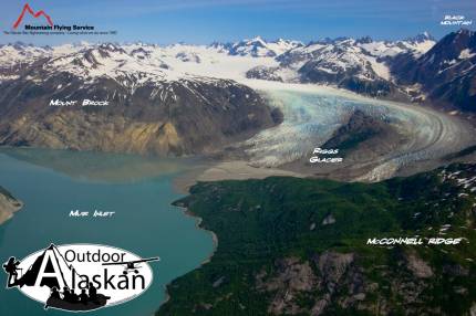 Looking north up Riggs Glacier. Taken July 4, 2009.