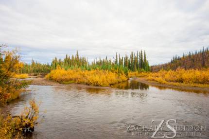 Another shot from the Nome Creek put in.