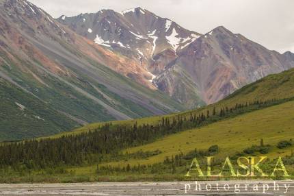 Looking across Phelan Creek at the southern end of Rainbow Ridge.