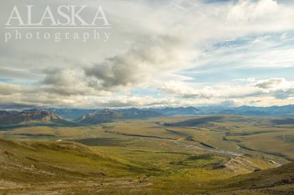 Looking out across Savage River, at the Alaska Range from above the Savage Alpine Trail.