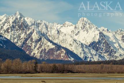 Looking out across the Chilkat River at the Takhinsha Mountains from the Haines Highway.