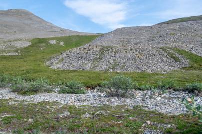 The creek at a point where it was nearly dried.