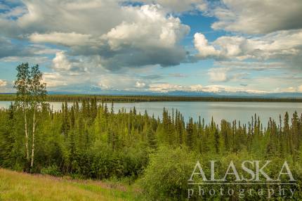 Looking out across Willow Lake at the Wrangell Mountains.