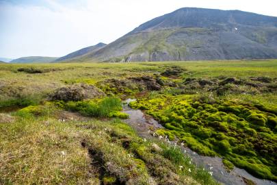 Melting permafrost.