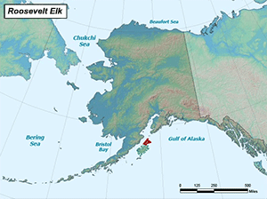 Habitat of Roosevelt Elk in Alaska